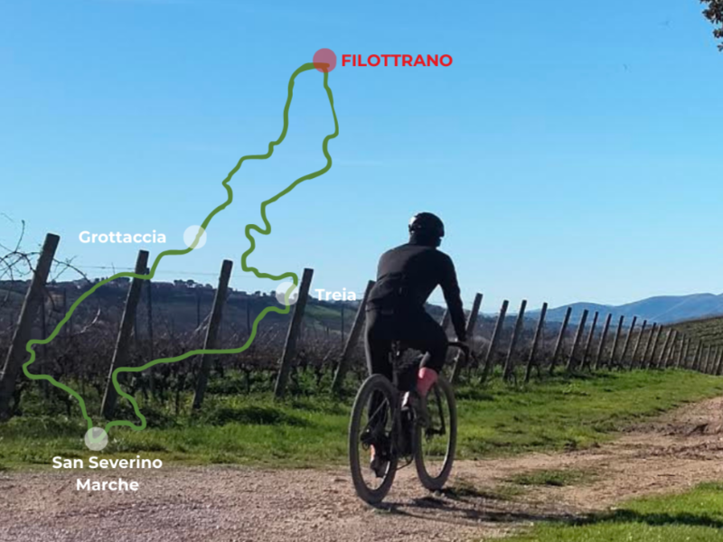 progetto senza titolo (48)